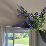 The Yoke And Self-catering Laois