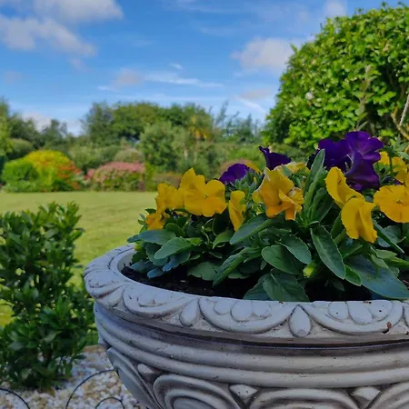 The Yoke And Self-catering Laois منزل للإقامة