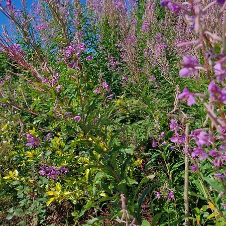 Privatunterkunft The Yoke And Self-catering Laois