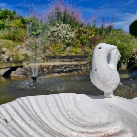 Séjour chez l'habitant The Yoke And Self-catering Laois Ballybrittas