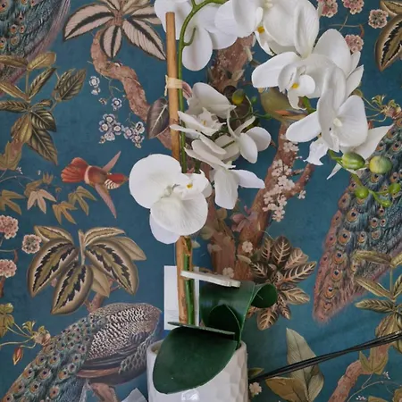 منزل للإقامة The Yoke And Self-catering Laois