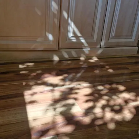 The Yoke And Self-catering Laois * Ballybrittas