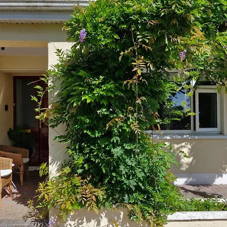 The Yoke And Self-catering Laois Pansiyon *
