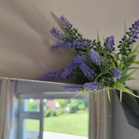 The Yoke And Self-catering Laois