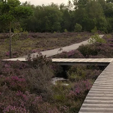 The Yoke And Self-catering Laois Ballybrittas