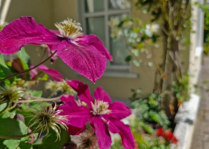 The Yoke And Self-catering Laois Habitación en casa particular *