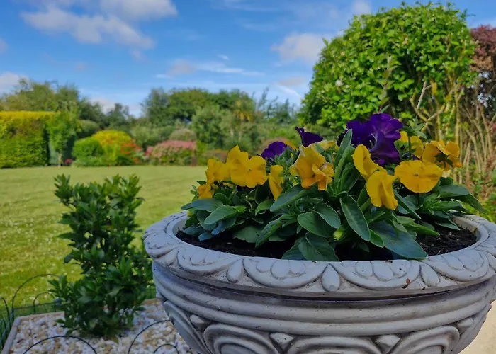 The Yoke And Self-catering Laois Habitación en casa particular