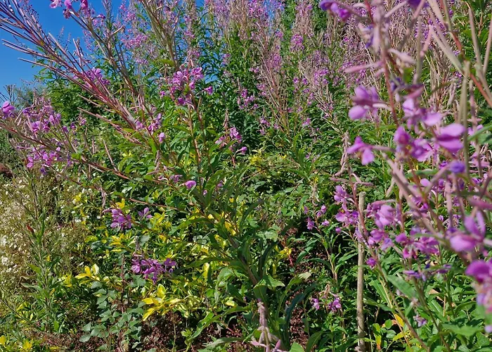 Habitación en casa particular The Yoke And Self-catering Laois
