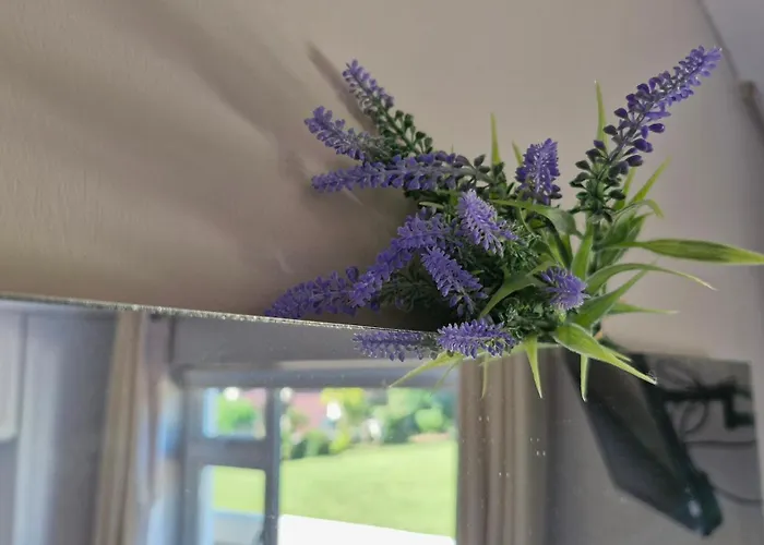 The Yoke And Self-catering Laois