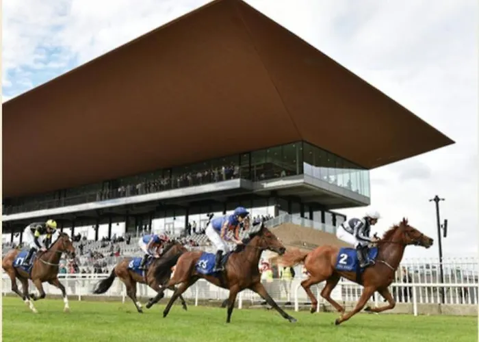 Habitación en casa particular The Yoke And Self-catering Laois Ballybrittas