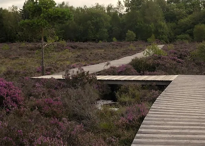 The Yoke And Self-catering Laois Ballybrittas